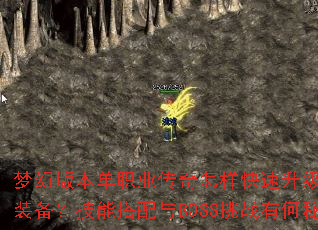 �λð汾��ְҵ��������������������ȡ�ռ�װ�������ܴ�����BOSS��ս�к��ؾ���