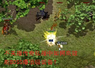 ���ط�����˽������θ�ЧˢBOSS������װ����