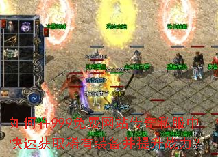 �����999�����վ����˽���п��ٻ�ȡϡ��װ��������ս����