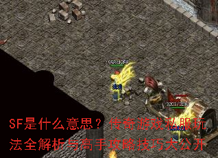 SF��ʲô��˼��������Ϸ˽���淨ȫ��������ֹ��Լ��ɴ󹫿�