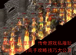 SF��ʲô��˼��������Ϸ˽���淨ȫ��������ֹ��Լ��ɴ󹫿�