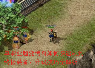 ��ְҵ���䴫����ο���ˢ���ռ�װ������������ȫ����