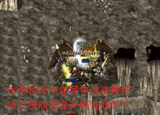 ����˽������ο������ճ��ض����ܲ�����ˢ��Ч�ʣ�