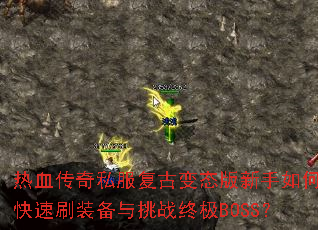 ��Ѫ����˽�����ű�̬��������ο���ˢװ������ս�ռ�BOSS��