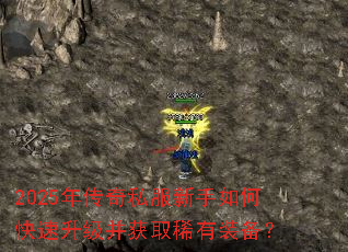 2025�괫��˽��������ο�����������ȡϡ��װ����