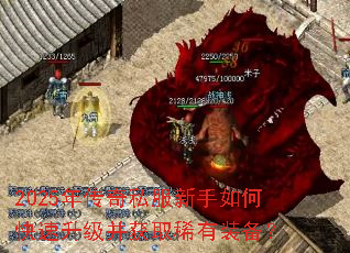 2025�괫��˽��������ο�����������ȡϡ��װ����