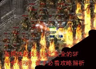 ��ο����ҵ��ȶ���ȫ��SF����˽�������ֱؿ����Խ���