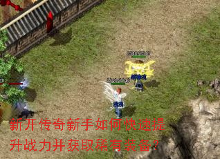 �¿�����������ο�������ս������ȡϡ��װ����