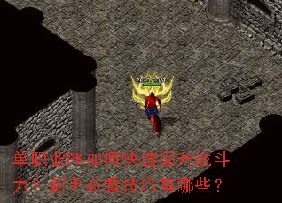 ��ְҵPK��ο�������ս���������ֱؿ���������Щ��