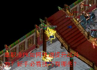 ��ְҵPK��ο�������ս���������ֱؿ���������Щ��