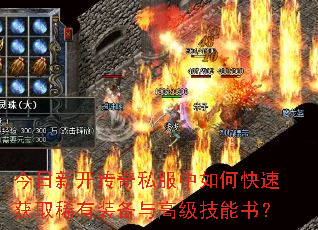 �����¿�����˽������ο��ٻ�ȡϡ��װ����߼������飿