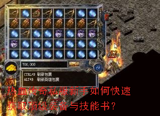 ��Ѫ����˽��������ο��ٻ�ȡ����װ���뼼���飿