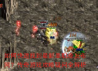 ��ο����ҵ����µ�ְҵ��������������Ϸ��������ȫ����