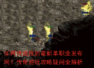 ��ο����ҵ����µ�ְҵ��������������Ϸ��������ȫ����