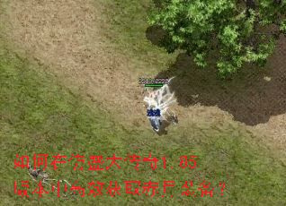 ����ڷ�ʢ����1.85�汾�и�Ч��ȡ����װ����