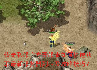 ����˽���ٷ���������ο��ٻ�ȡ���·������б������Լ��ɣ�