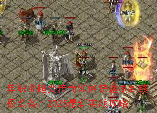 ��ְҵ���䴫����ο���ˢ���ռ�װ����2025����ʵս����