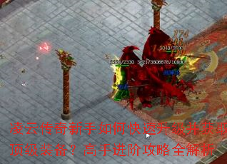 ���ƴ���������ο�����������ȡ����װ�������ֽ��׹���ȫ����