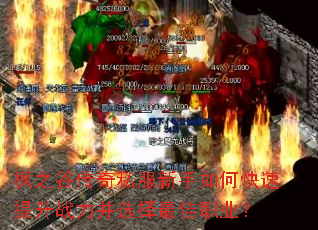 枫之谷传奇私服新手如何快速提升战力并选择最佳职业? 枫之谷传奇私服新手如何快速提升战力并选择最佳职业?