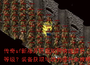����sf�·���������ο��������ȼ���װ����ȡ��ս������ȫ����
