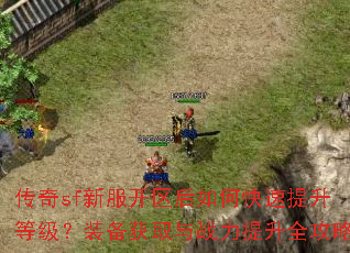 ����sf�·���������ο��������ȼ���װ����ȡ��ս������ȫ����