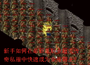 ������������µ�ְҵ���䴫��˽���п��ٳ�Ϊȫ��������