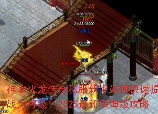 ��ʻ�������˽��������ο�������ս���ȼ���2025���±�ķ������