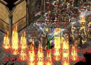 ��ʻ�������˽��������ο�������ս���ȼ���2025���±�ķ������