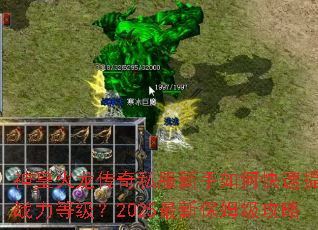 ��ʻ�������˽��������ο�������ս���ȼ���2025���±�ķ������