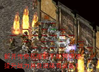 新开传奇私服新手如何快速提升战力并获取稀有装备? 新开传奇私服新手如何快速提升战力并获取稀有装备?