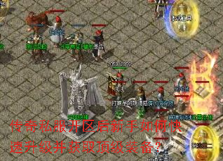 ����˽��������������ο�����������ȡ����װ����