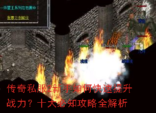 ����˽��2������ο�������ս����ʮ���֪����ȫ����