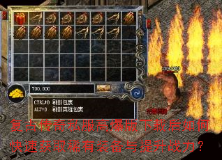 ���Ŵ���˽���߱������غ���ο��ٻ�ȡϡ��װ��������ս����