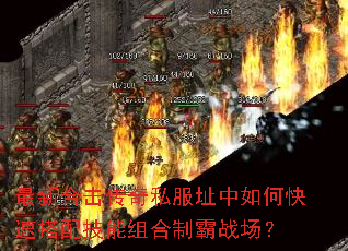 ���ºϻ�����˽��ַ����ο��ٴ��似������ư�ս����