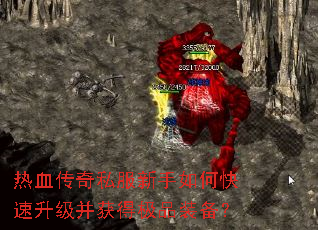 ��Ѫ����˽��������ο�����������ü�Ʒװ����