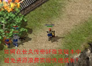 如何在长久传奇SF微变版本中避免资源浪费实现快速成长? 如何在长久传奇SF微变版本中避免资源浪费实现快速成长?