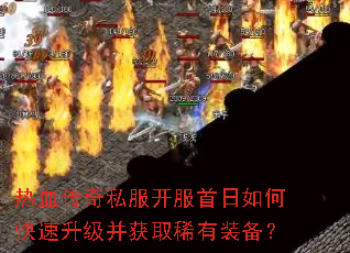 ��Ѫ����˽������������ο�����������ȡϡ��װ����