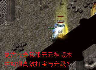 ���Ŵ���˽����Ԫ��汾����θ�Ч����������