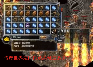 传奇世界法师勋章编号是多少? 传奇世界法师勋章编号是多少?