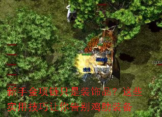 ���ֽ�����ֻ��װ��Ʒ����Щʵ�ü�����������װ��