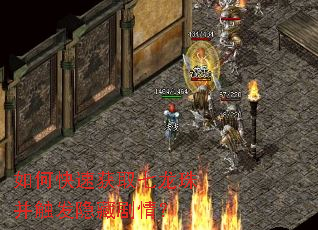 ��ο��ٻ�ȡ�����鲢�������ؾ��飿