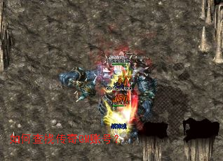 ��β��Ҵ���GM�˺ţ�