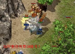 ��β��Ҵ���GM�˺ţ�