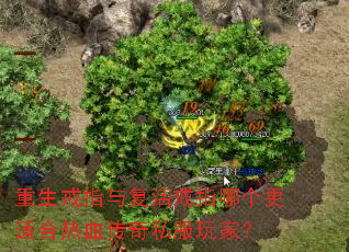 ������ָ�븴���ָ�ĸ����ʺ���Ѫ����˽����ң�