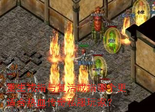 ������ָ�븴���ָ�ĸ����ʺ���Ѫ����˽����ң�