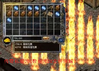 ����˽��DBC���ݿ�DB�ļ���⣿