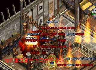 ������¸��Ŵ���Ļ���������