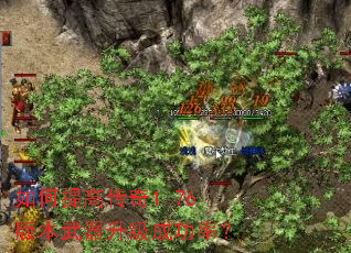 �����ߴ���1.76�汾���������ɹ��ʣ�