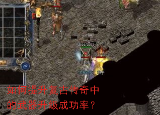 ����������Ŵ����е����������ɹ��ʣ�