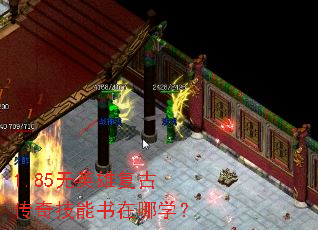 1.85��Ӣ�۸��Ŵ��漼��������ѧ��